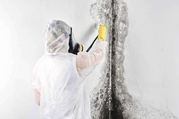 Best Water damage restoration near me  in Arlington Heights, IL