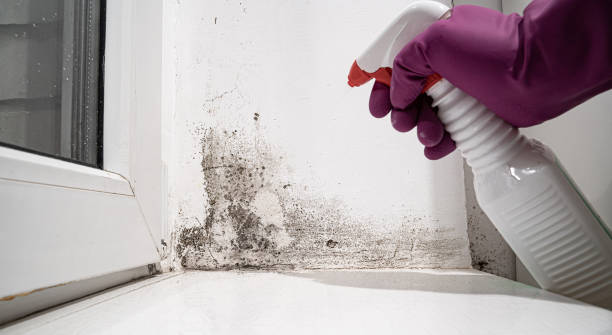 Water damage restoration